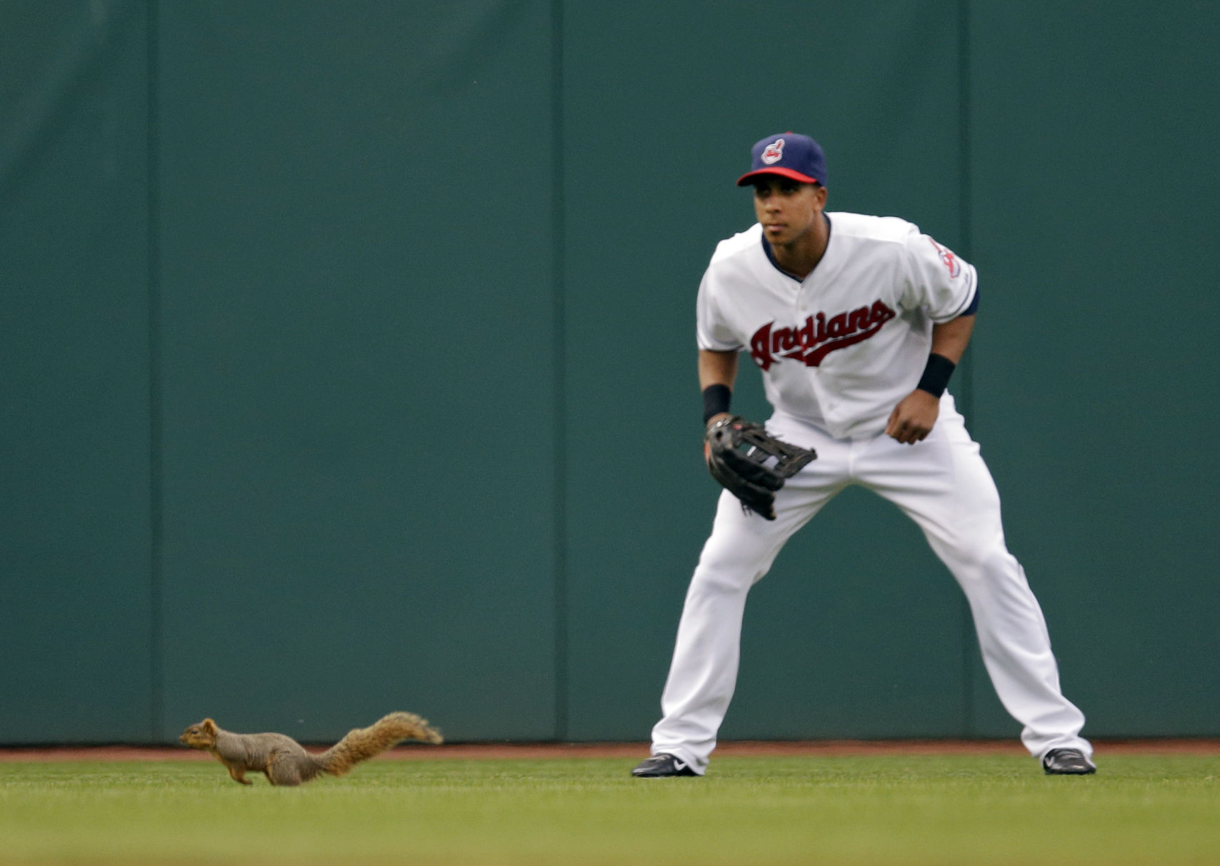 Indians-Royals squirrel